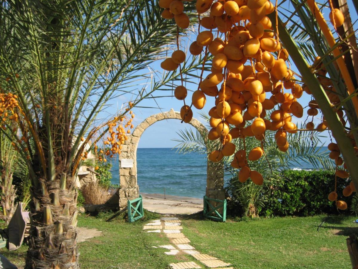 Topset Hotel Agios Georgios  Eksteriør billede